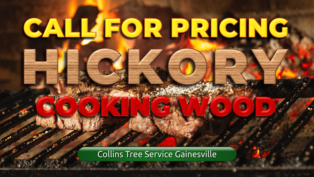 Hickory Wood for Sale